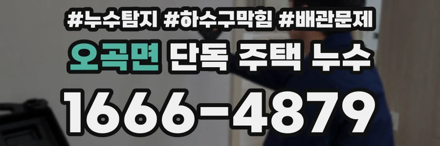 오곡면 단독 주택 누수
