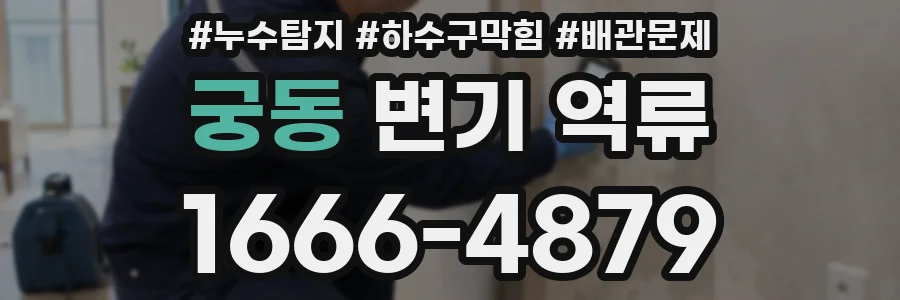 궁동 변기 역류