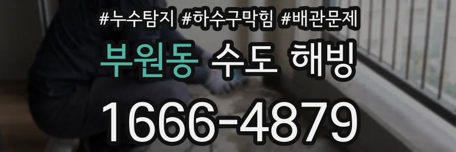 부원동 수도 해빙