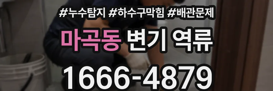 마곡동 변기 역류