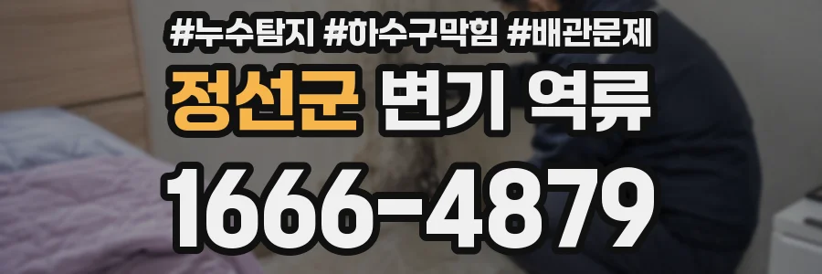 정선군 변기 역류