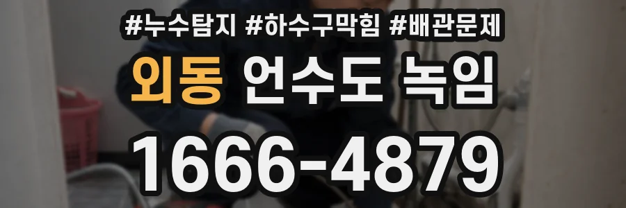 외동 언수도 녹임