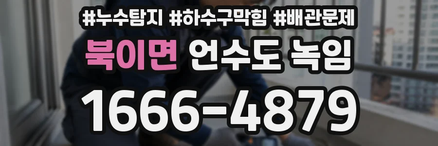 북이면 언수도 녹임