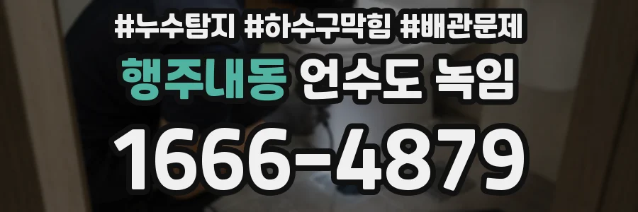 행주내동 언수도 녹임