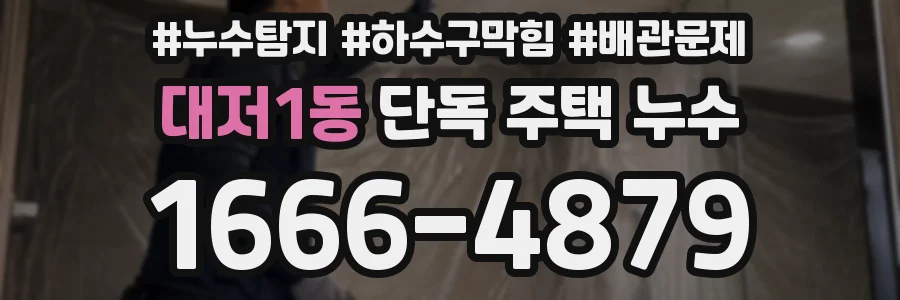 대저1동 단독 주택 누수