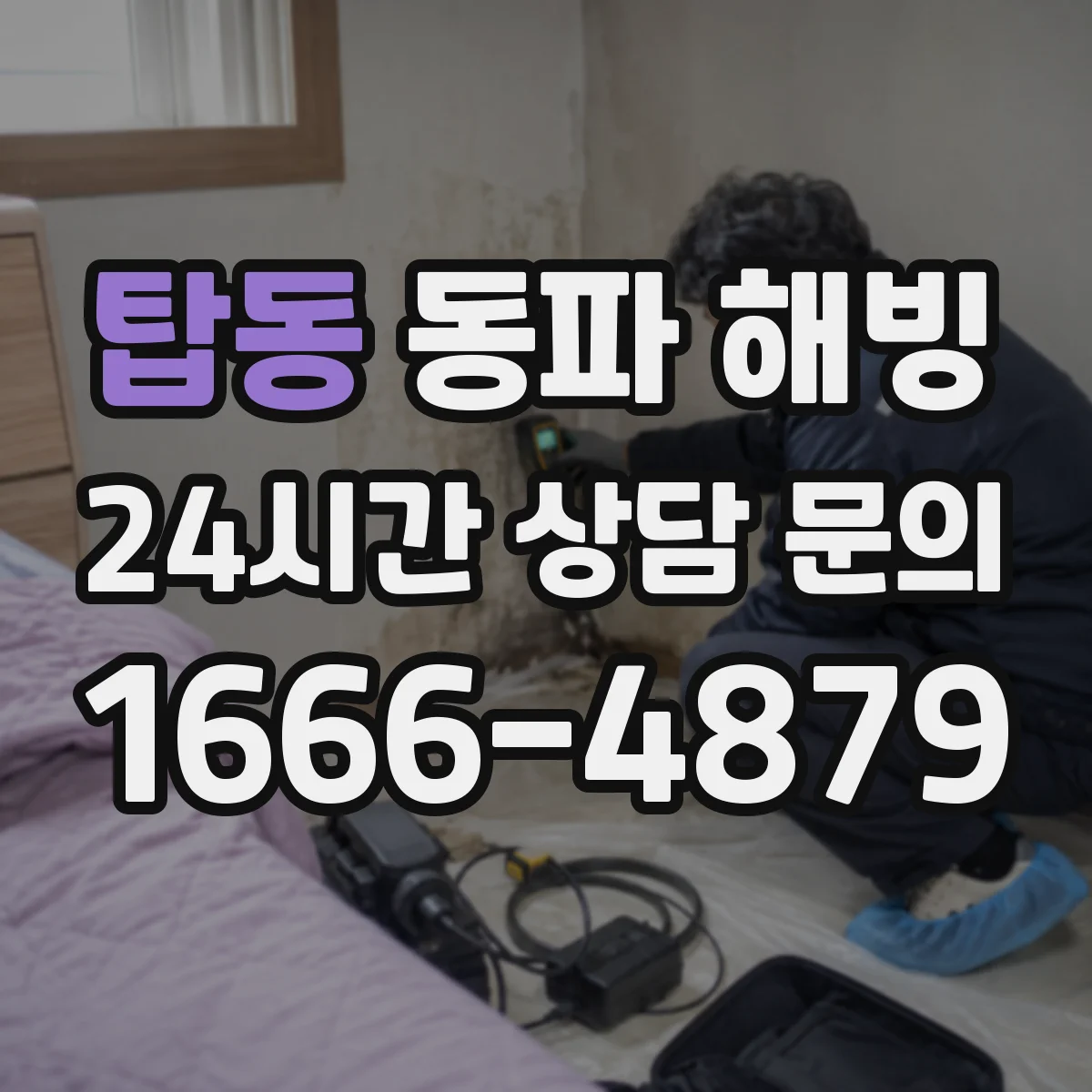 탑동 동파 해빙