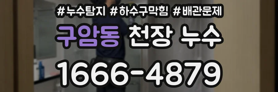 구암동 천장 누수