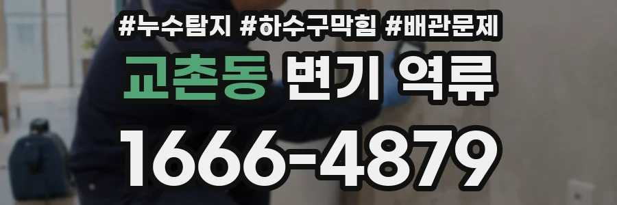 교촌동 변기 역류