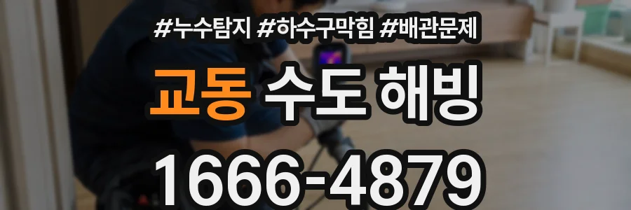 교동 수도 해빙