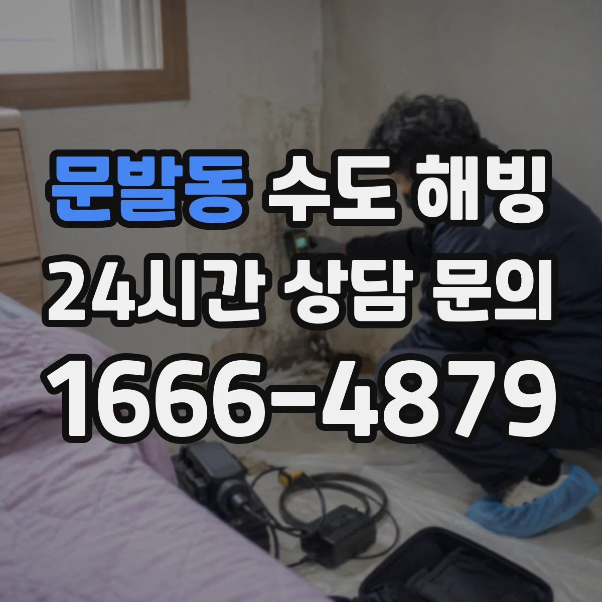 문발동 수도 해빙