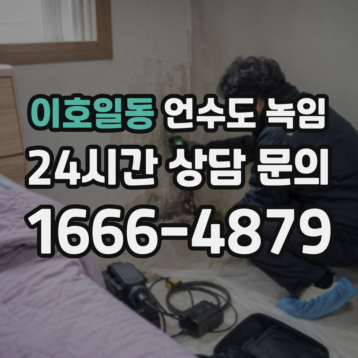 이호일동 언수도 녹임