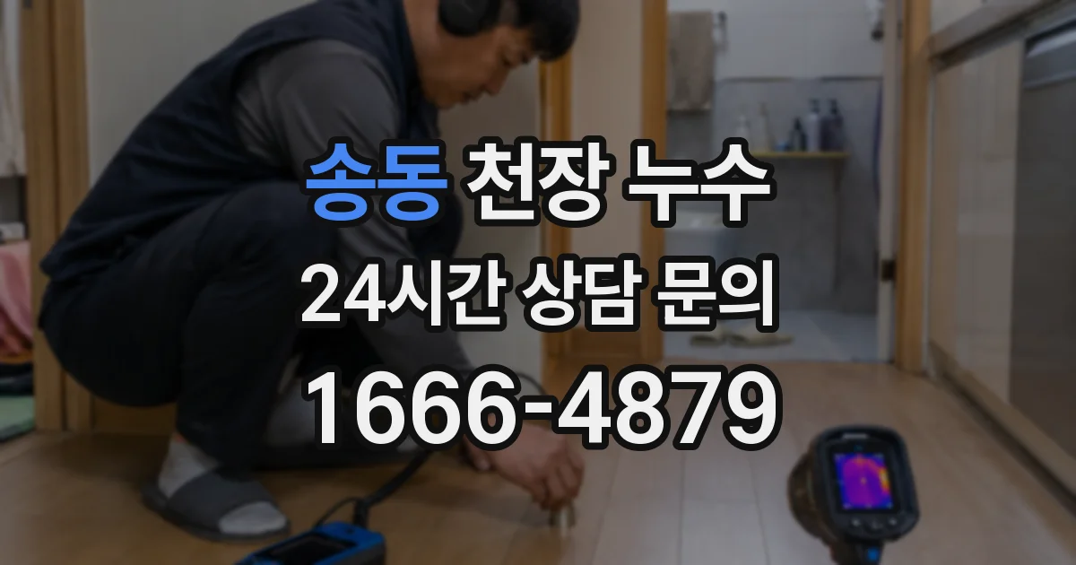 송동 천장 누수