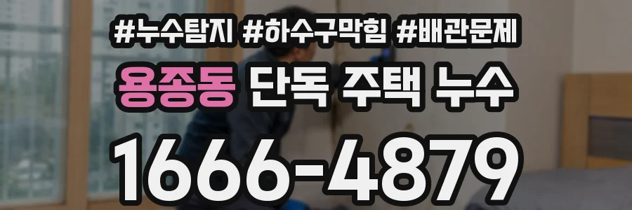 용종동 단독 주택 누수