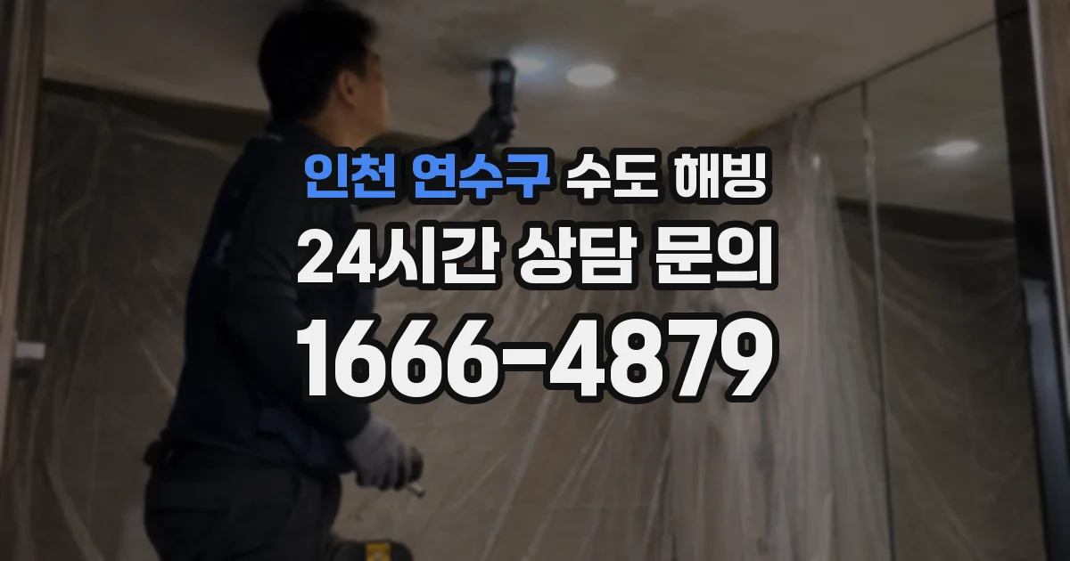 인천 연수구 수도 해빙