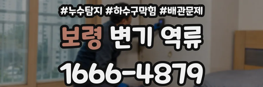 보령 변기 역류