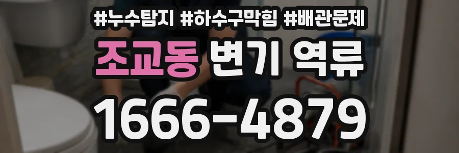 조교동 변기 역류