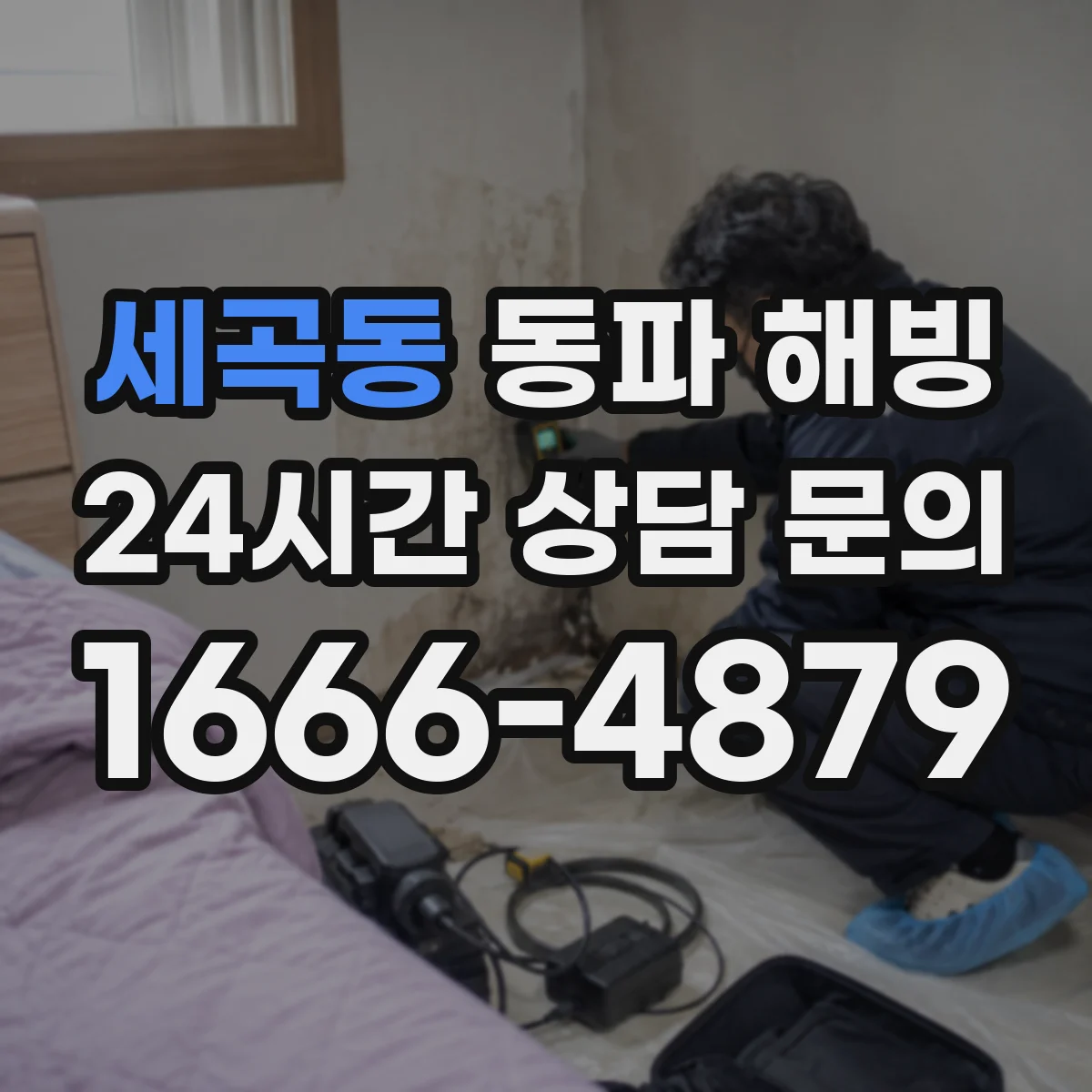 세곡동 동파 해빙