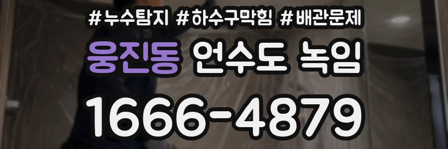 웅진동 언수도 녹임
