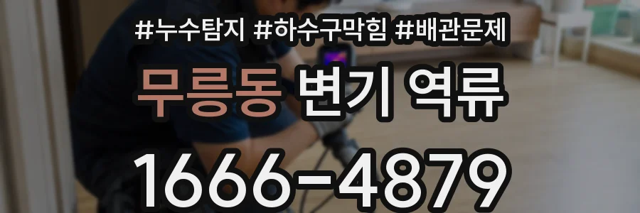 무릉동 변기 역류