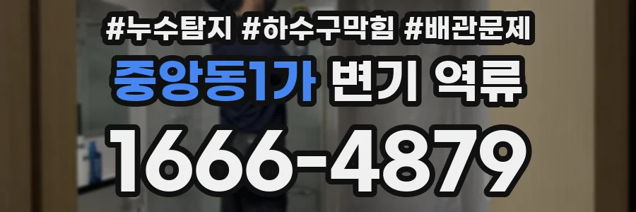 중앙동1가 변기 역류