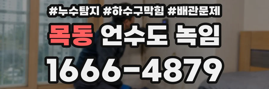 목동 언수도 녹임