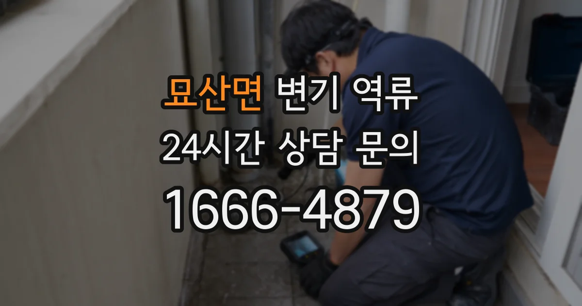 묘산면 변기 역류