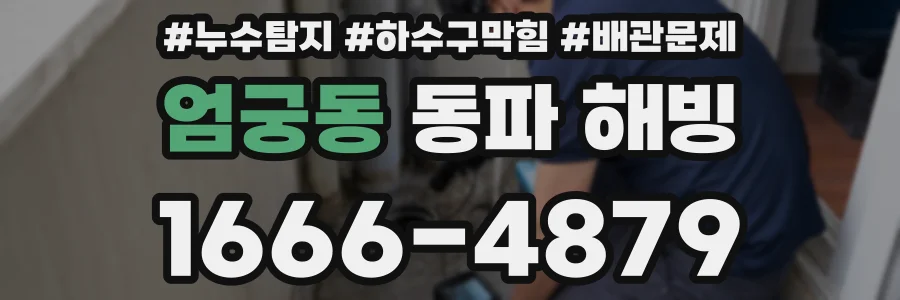 엄궁동 동파 해빙
