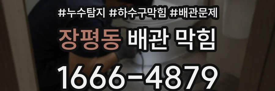 장평동 배관 막힘
