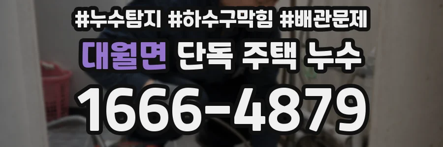 대월면 단독 주택 누수