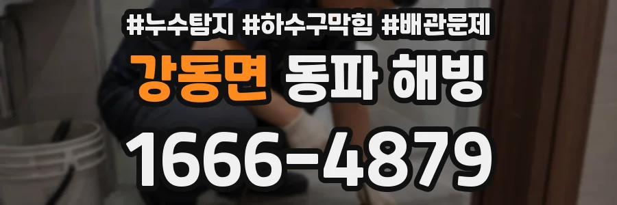 강동면 동파 해빙