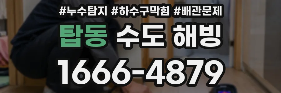 탑동 수도 해빙