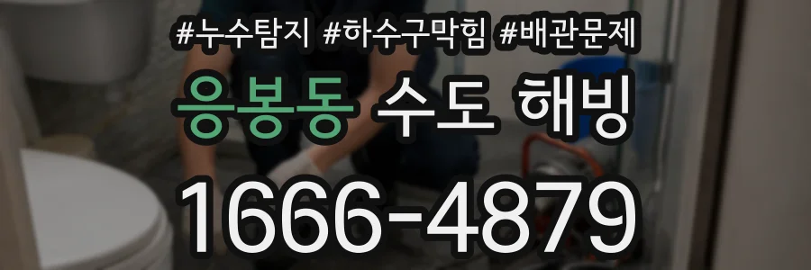 응봉동 수도 해빙