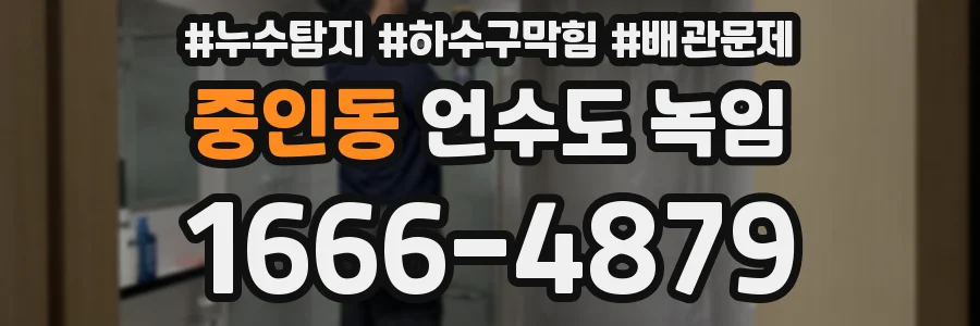 중인동 언수도 녹임