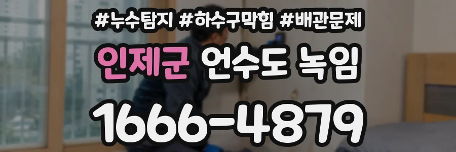 인제군 언수도 녹임