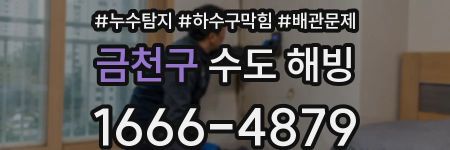 금천구 수도 해빙