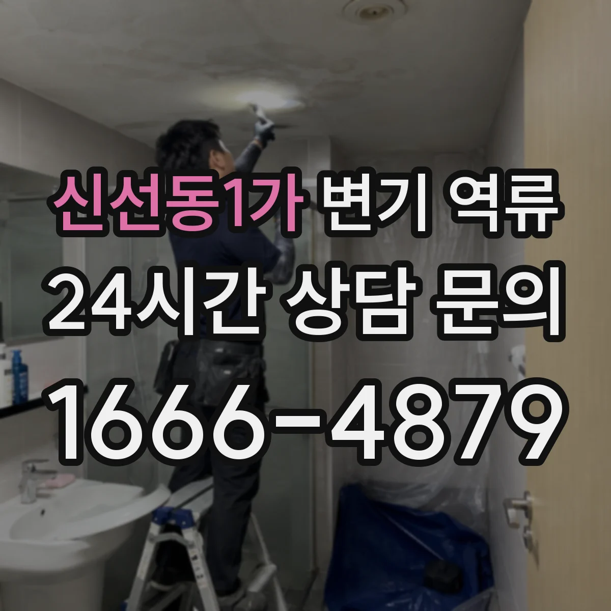 신선동1가 변기 역류