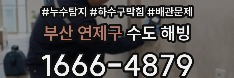 부산 연제구 수도 해빙