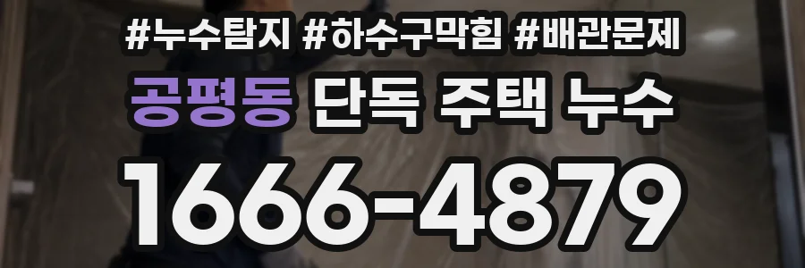공평동 단독 주택 누수