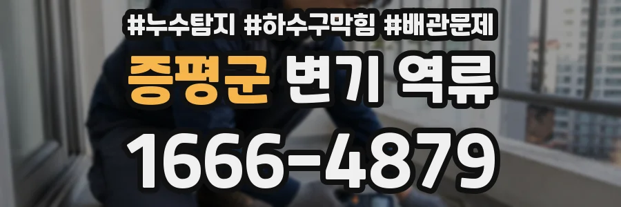 증평군 변기 역류
