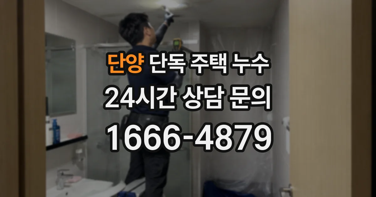 단양 단독 주택 누수