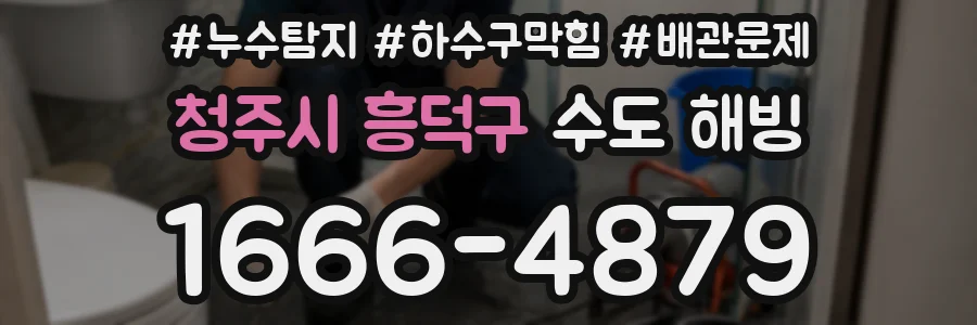 청주시 흥덕구 수도 해빙