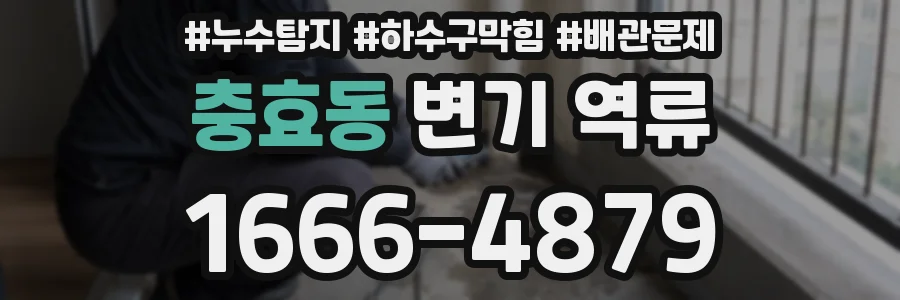 충효동 변기 역류