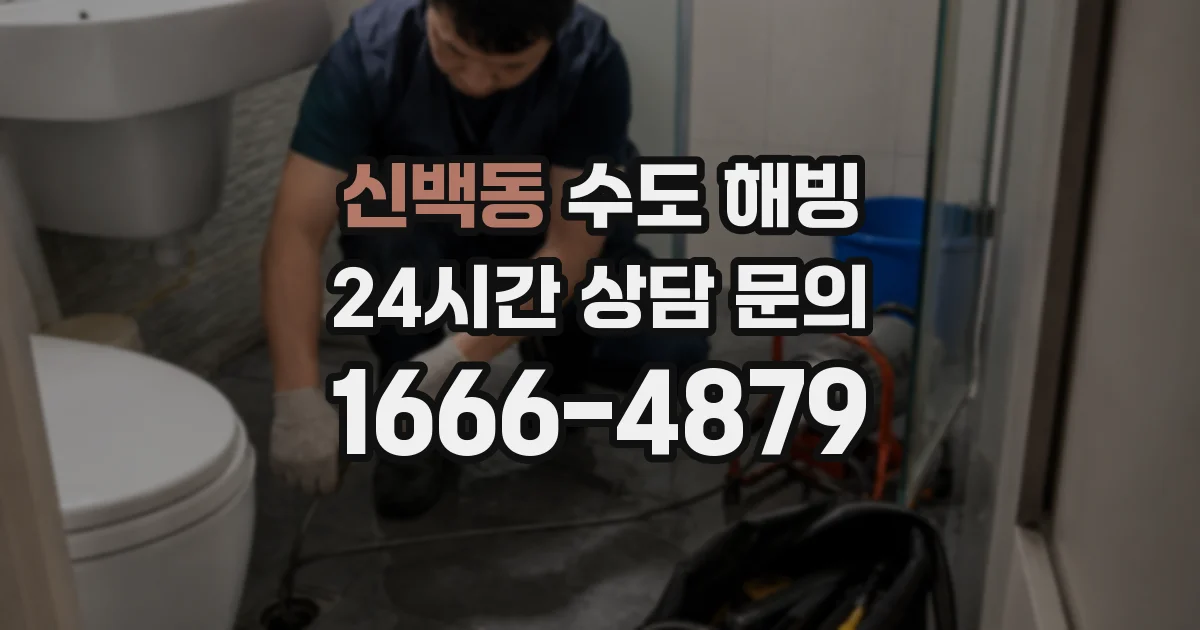 신백동 수도 해빙