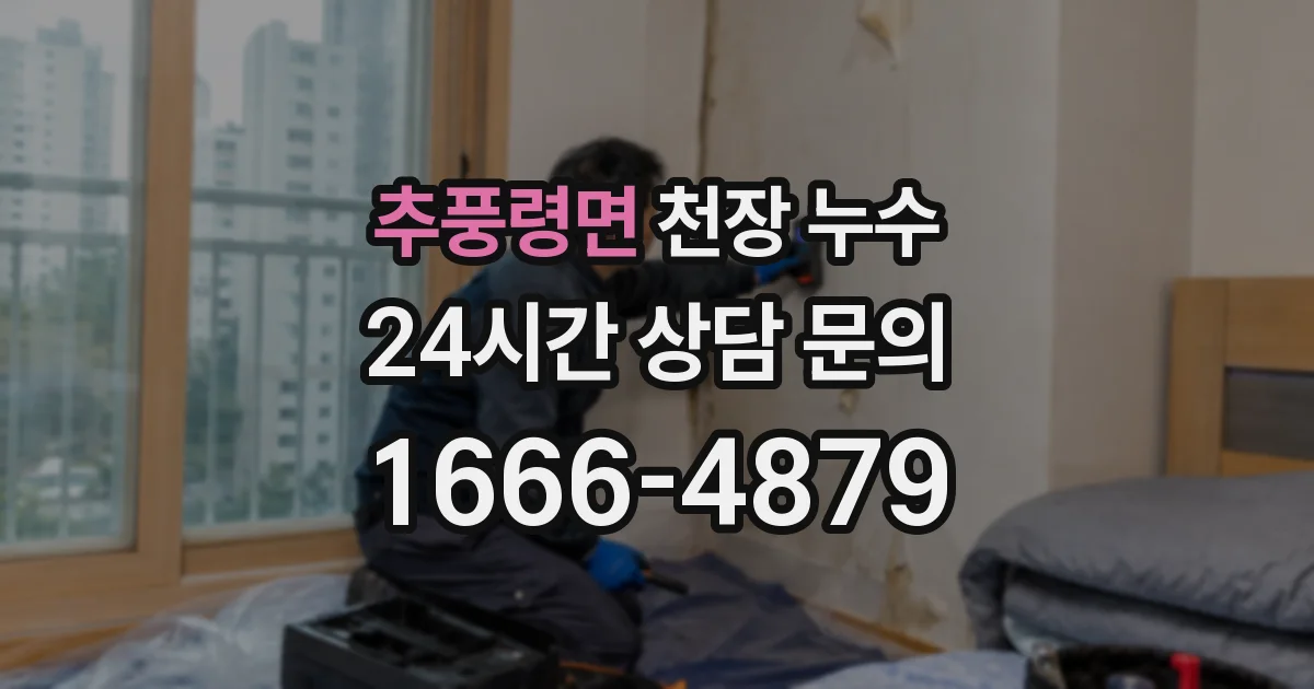 추풍령면 천장 누수