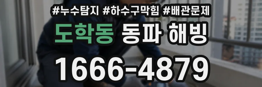 도학동 동파 해빙