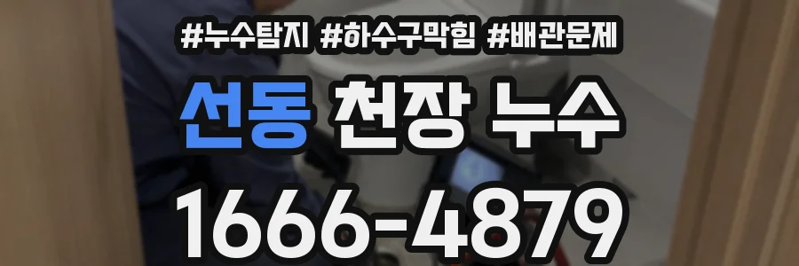 선동 천장 누수
