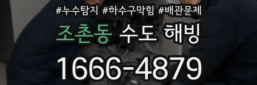조촌동 수도 해빙