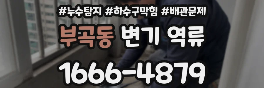 부곡동 변기 역류
