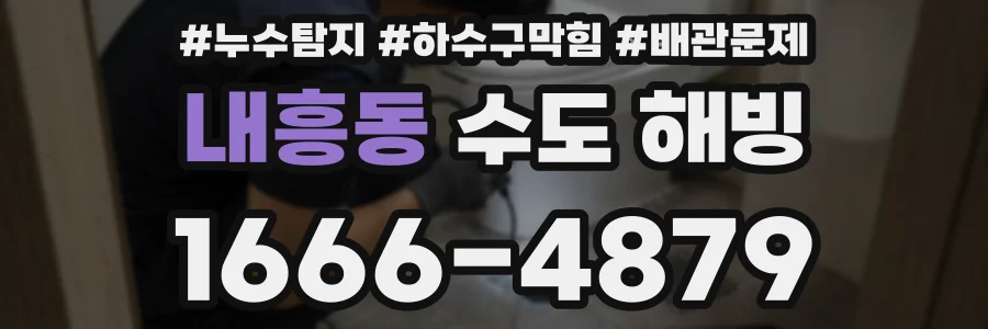 내흥동 수도 해빙