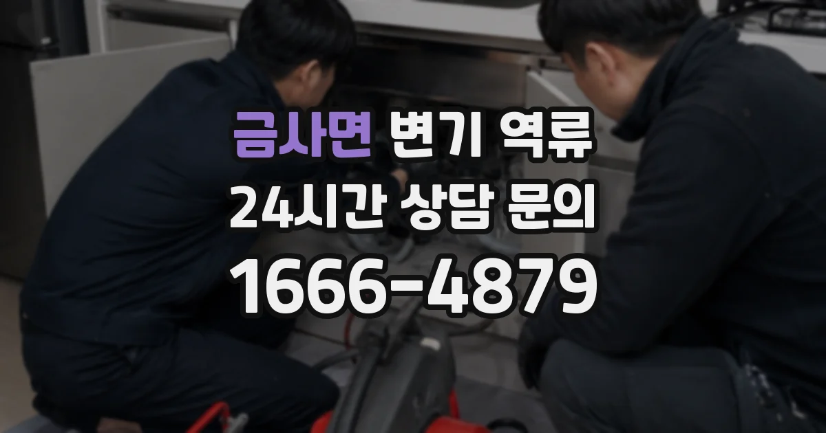 금사면 변기 역류